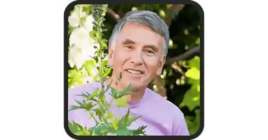 DentaSmile Pro Reviews